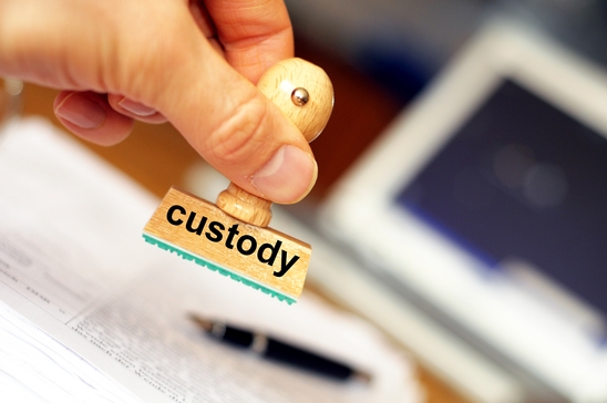 custody